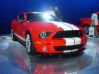 Filename=Picture078.jpg
Filesize=105KB
Dimensions=896x672
Date added=Jul 28, 2006 Picture078.jpg