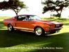 Ford_Mustang_shelby4.jpg