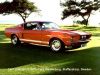 Filename=Ford_Mustang_shelby4.jpg
Filesize=33KB
Dimensions=400x302
Date added=Aug 04, 2006 Ford_Mustang_shelby4.jpg