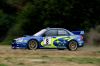 wallpaper_wrc_por_txiru_(43).jpg