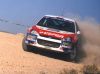 wallpaper_wrc_por_txiru_(64).jpg