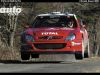 wallpaper_wrc_por_txiru_(72).jpg