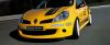 Cliocup_016.jpg