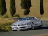 slr7.jpg