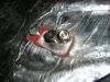 Filename=ADV_project_Clio_II_83.jpg
Filesize=121KB
Dimensions=800x600
Date added=Jul 03, 2006 ADV_project_Clio_II_83.jpg