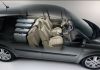 Filename=renault_scenic_manu_05.jpg
Filesize=15KB
Dimensions=320x225
Date added=Aug 26, 2006 renault_scenic_manu_05.jpg
