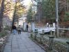 Filename=slanic_dil_096.JPG
Filesize=120KB
Dimensions=800x600
Date added=Dec 06, 2006 slanic_dil_096.JPG