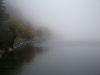 Filename=Picture_013.jpg
Filesize=55KB
Dimensions=1000x750
Date added=Oct 16, 2006 Picture_013.jpg