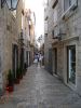 Filename=Picture_147.jpg
Filesize=535KB
Dimensions=1500x2000
Date added=Aug 30, 2008 Picture_147.jpg