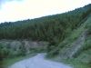 Filename=30062007(004).jpg
Filesize=172KB
Dimensions=1280x960
Date added=Jul 04, 2007 30062007(004).jpg
