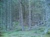 Filename=30062007(007).jpg
Filesize=244KB
Dimensions=1280x960
Date added=Jul 04, 2007 30062007(007).jpg
