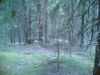 Filename=30062007(008).jpg
Filesize=266KB
Dimensions=1280x960
Date added=Jul 04, 2007 30062007(008).jpg