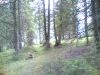 Filename=30062007(009).jpg
Filesize=244KB
Dimensions=1280x960
Date added=Jul 04, 2007 30062007(009).jpg
