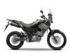 big_yamaha_xt660z_tenere_08_31.jpg