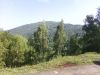 Fotografii-0004_15.jpg