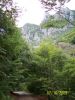 Filename=cr04.jpg
Filesize=85KB
Dimensions=461x614
Date added=Aug 13, 2009 cr04.jpg