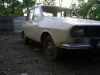 DSC04684.jpg
