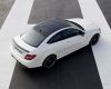 Filename=MB_C63amg-coupe_1953_1280x1024.jpg
Filesize=182KB
Dimensions=1280x1024
Date added=Mar 23, 2011 MB_C63amg-coupe_1953_1280x1024.jpg