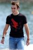 Fernando_Alonso_-_Renault_F1_image106.jpg