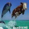 Attached Image